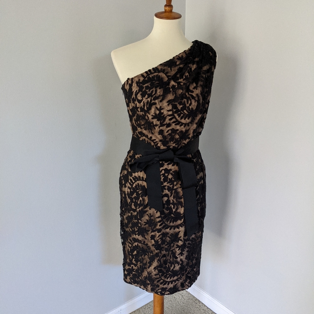 One Sleeve Lace Dress